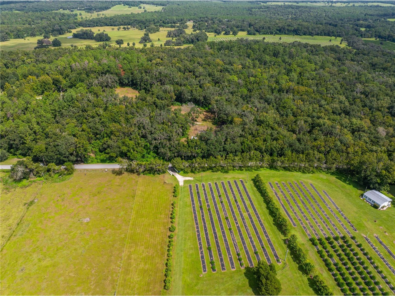 Whitman Road Brooksville FL 34601 T3552880 image7