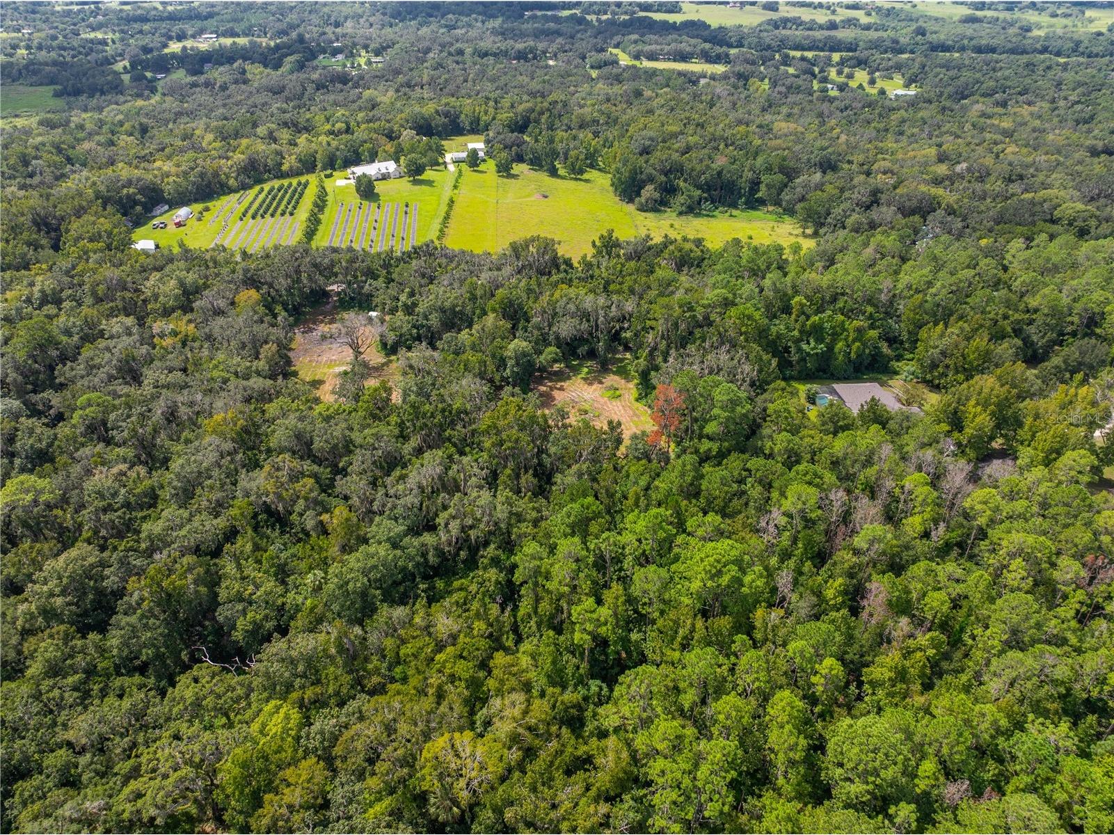 Whitman Road Brooksville FL 34601 T3552880 image9