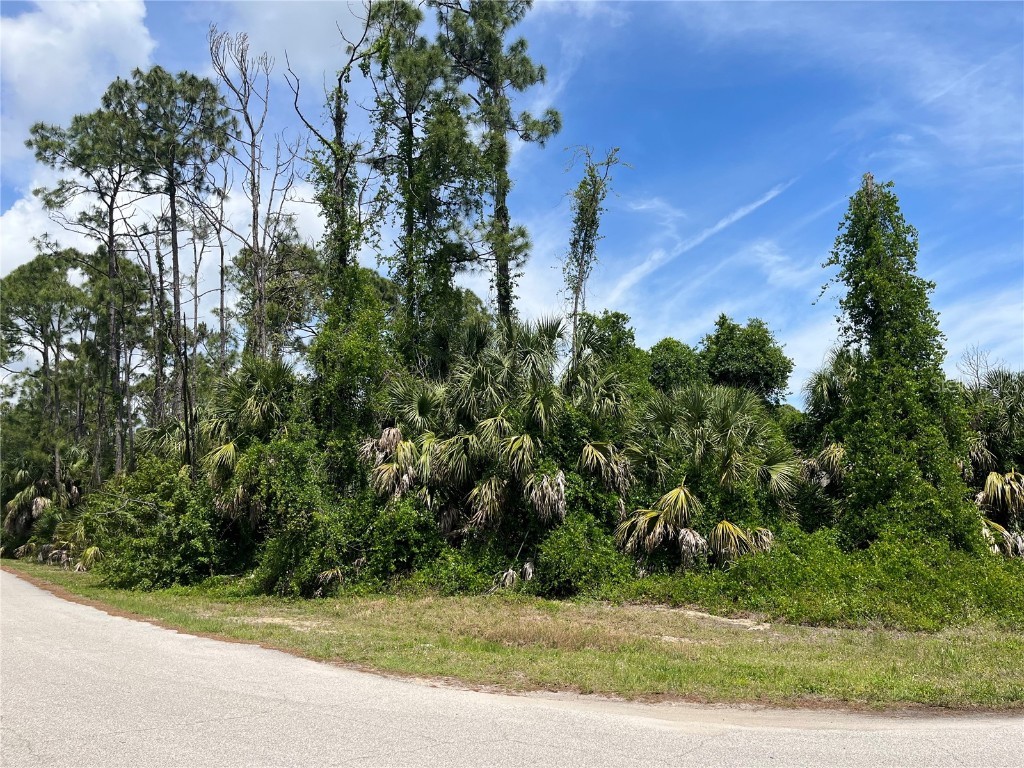 Wilburn Terrace North Port FL 34288 C7490600 image1
