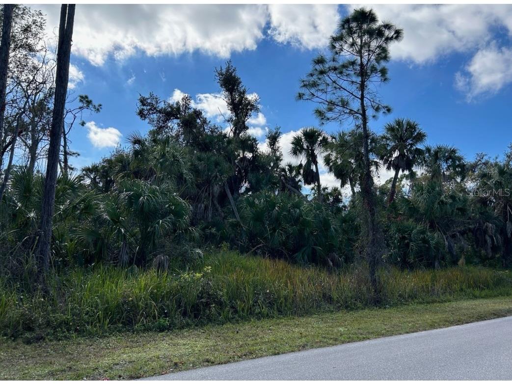 Wilcox Avenue North Port FL 34288 NS1080112 image1