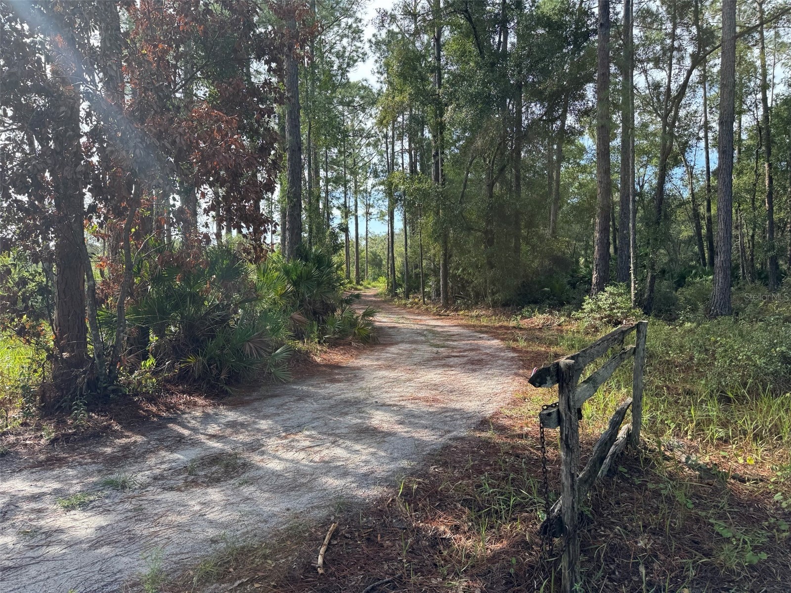 Wild Acres Trail Paisley FL 32767 TB8434522 image1