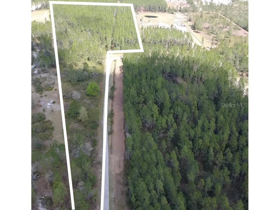 Wild Cur Road Pierson FL 32180 TB8486943 image1