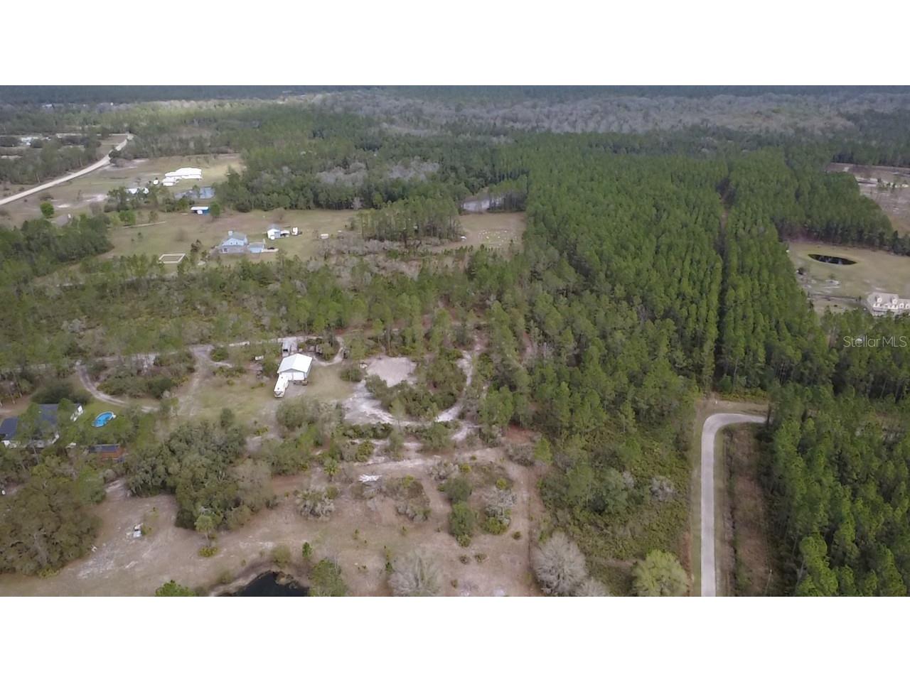 Wild Cur Road Pierson FL 32180 TB8486943 image10