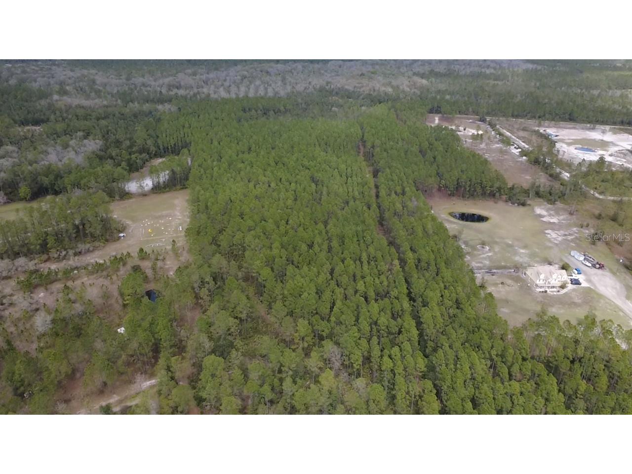Wild Cur Road Pierson FL 32180 TB8486943 image16