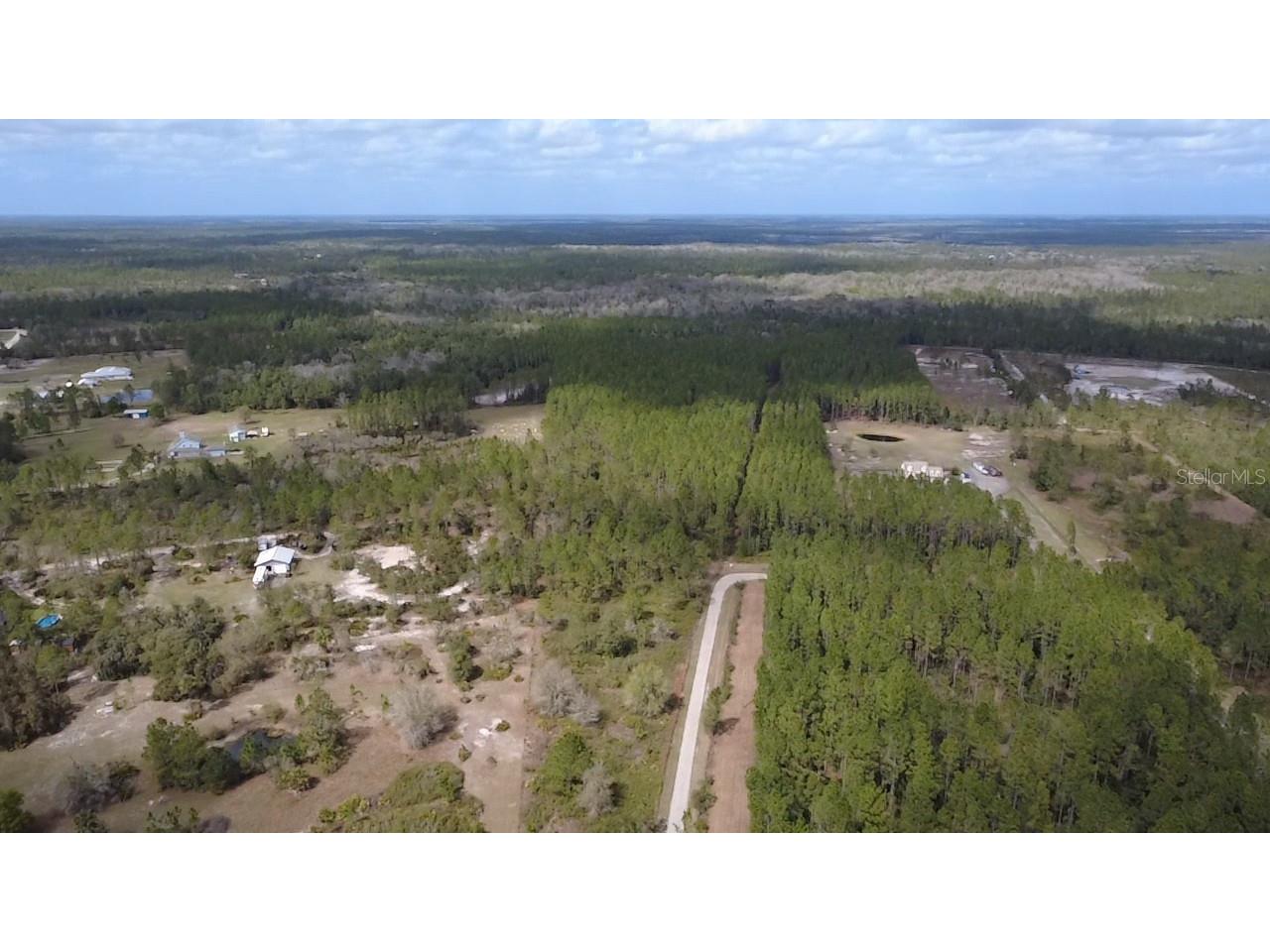 Wild Cur Road Pierson FL 32180 TB8486943 image17