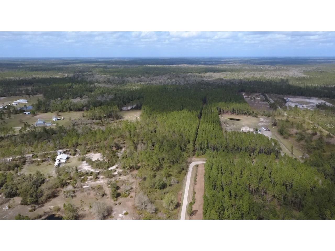 Wild Cur Road Pierson FL 32180 TB8486943 image18