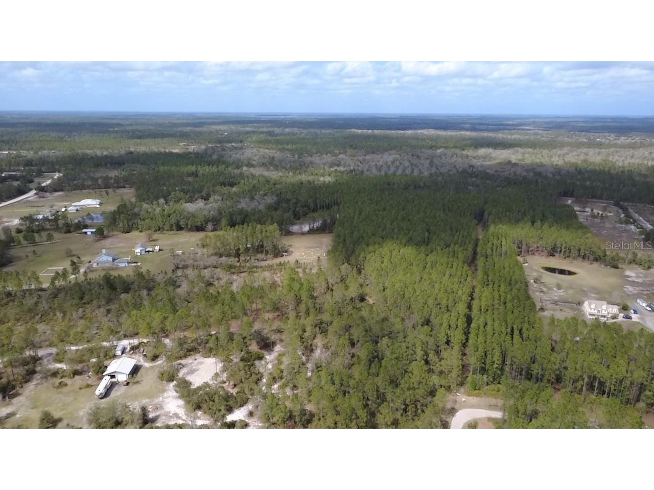 Wild Cur Road Pierson FL 32180 TB8486943 image19