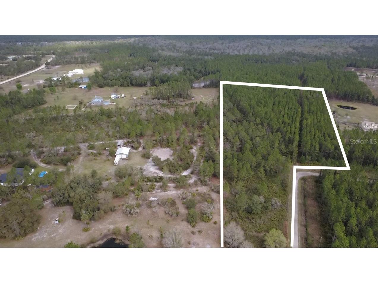 Wild Cur Road Pierson FL 32180 TB8486943 image2