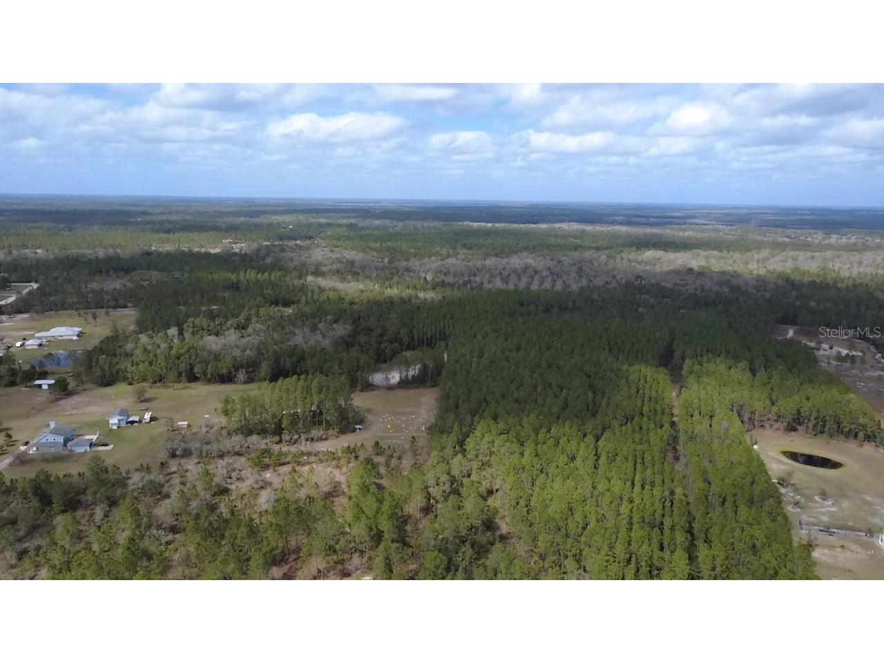 Wild Cur Road Pierson FL 32180 TB8486943 image20