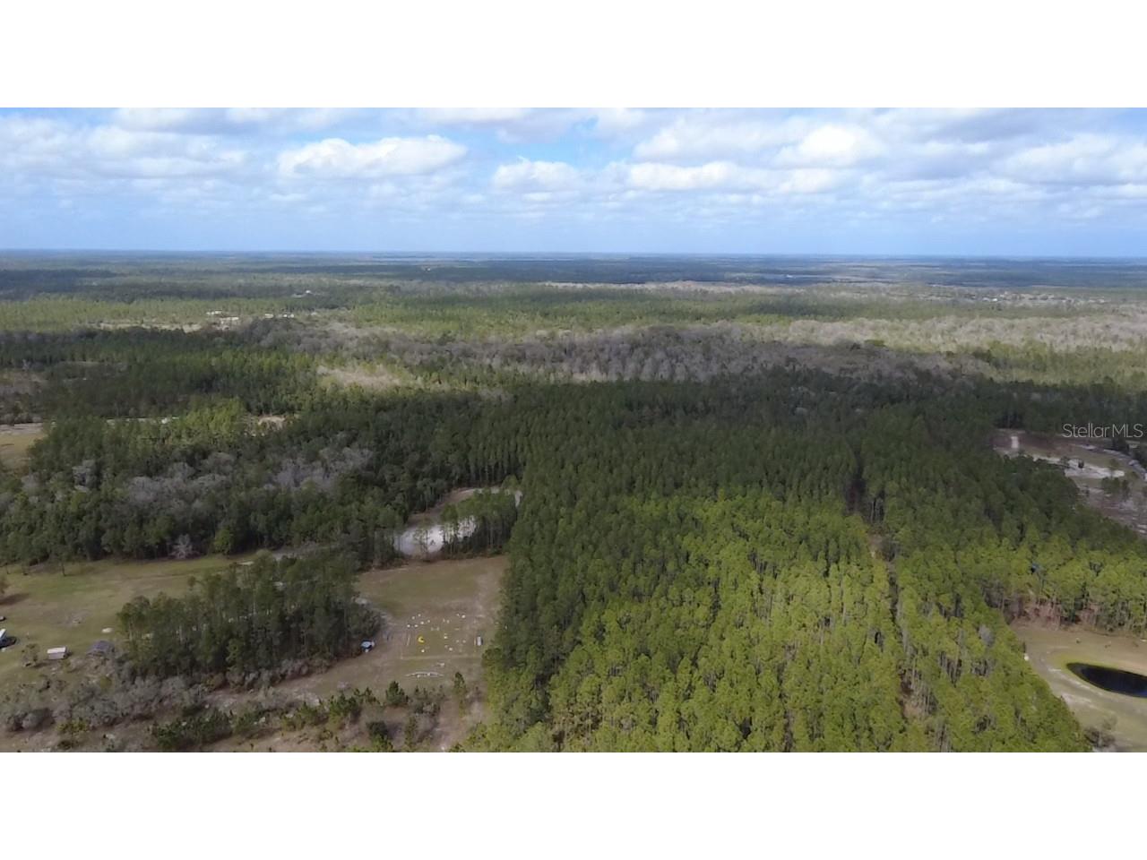 Wild Cur Road Pierson FL 32180 TB8486943 image21
