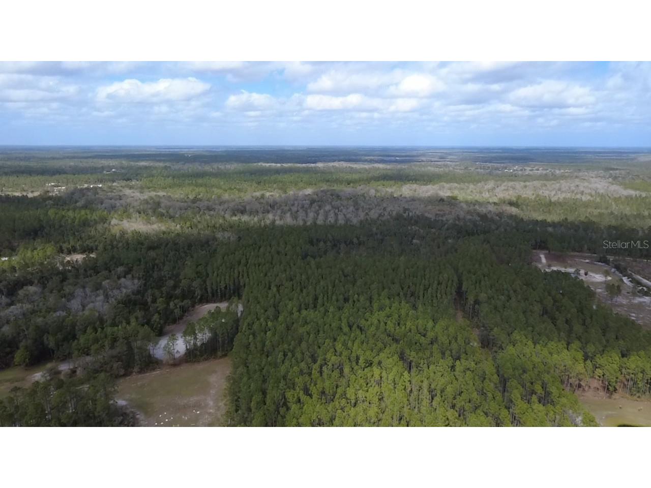 Wild Cur Road Pierson FL 32180 TB8486943 image22