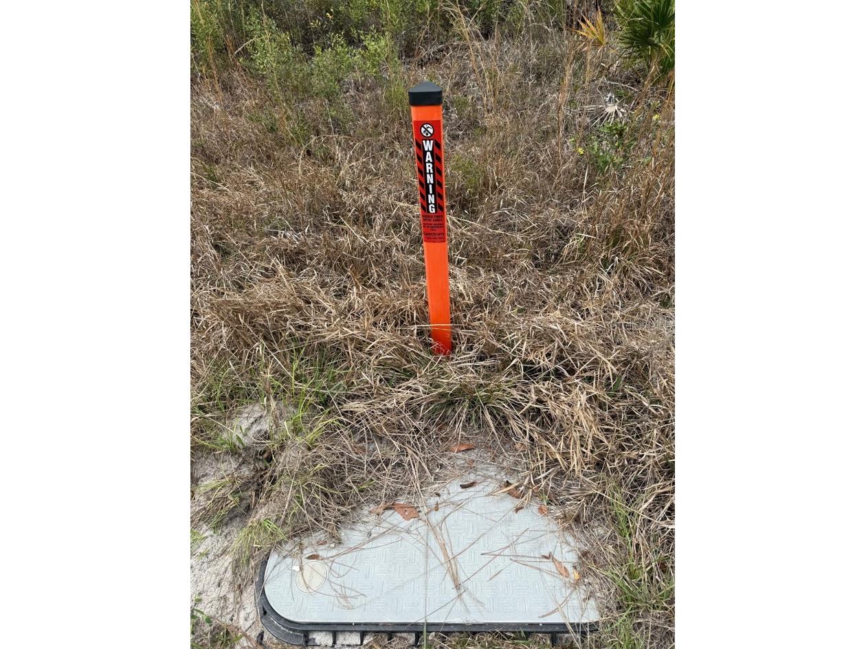 Wild Cur Road Pierson FL 32180 TB8486943 image24