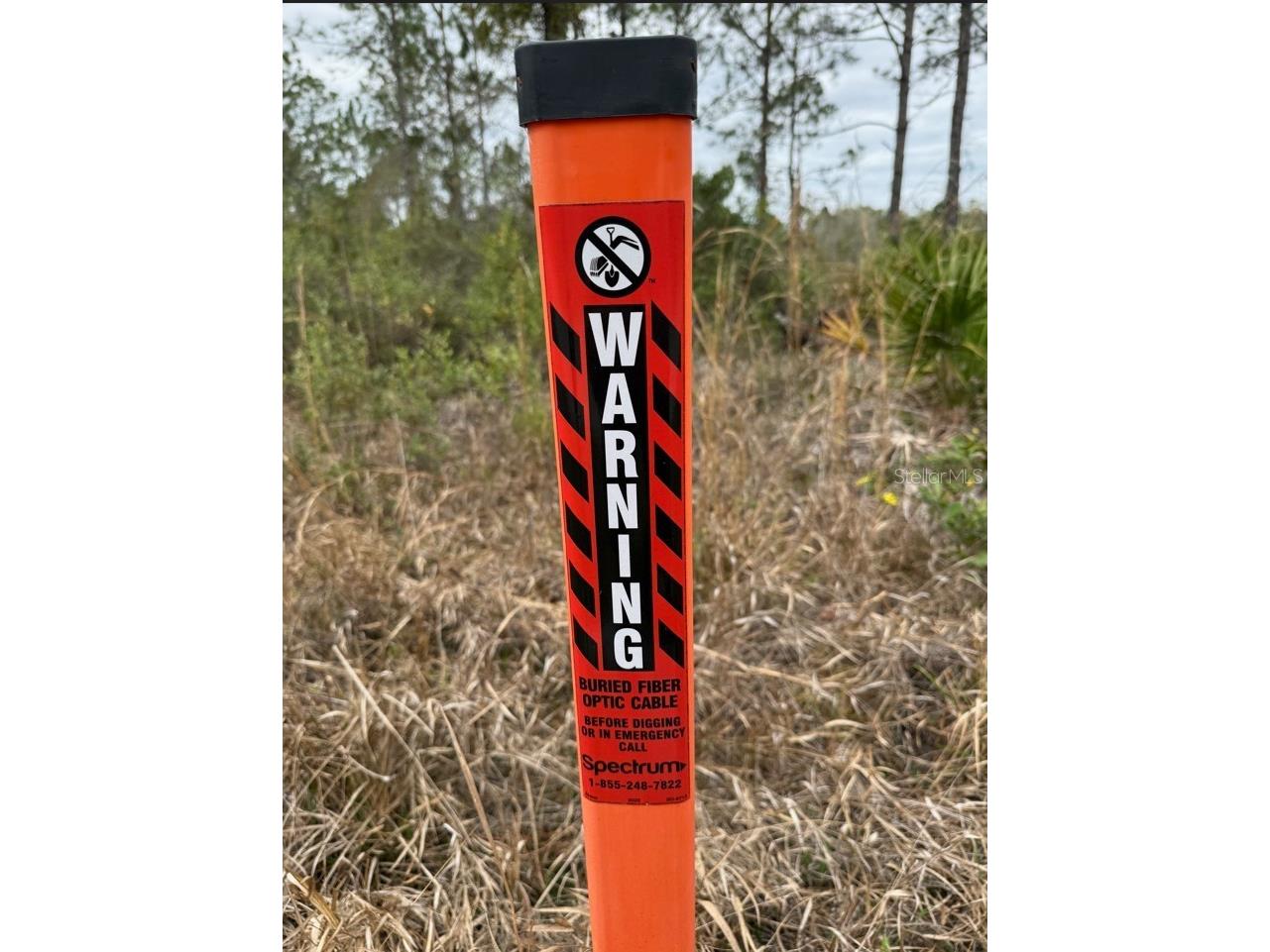 Wild Cur Road Pierson FL 32180 TB8486943 image25