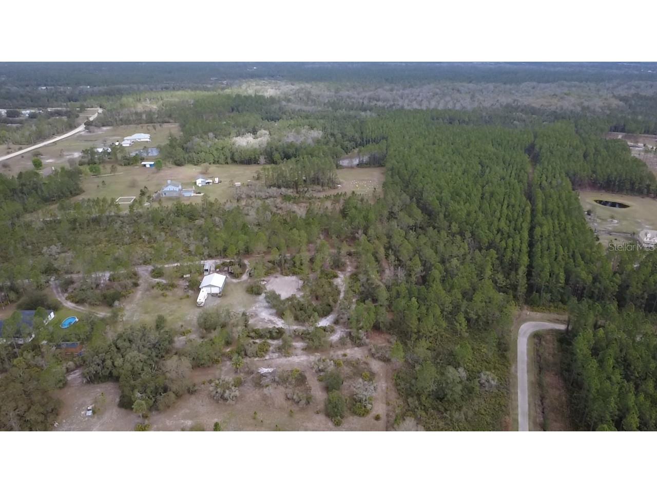 Wild Cur Road Pierson FL 32180 TB8486943 image3