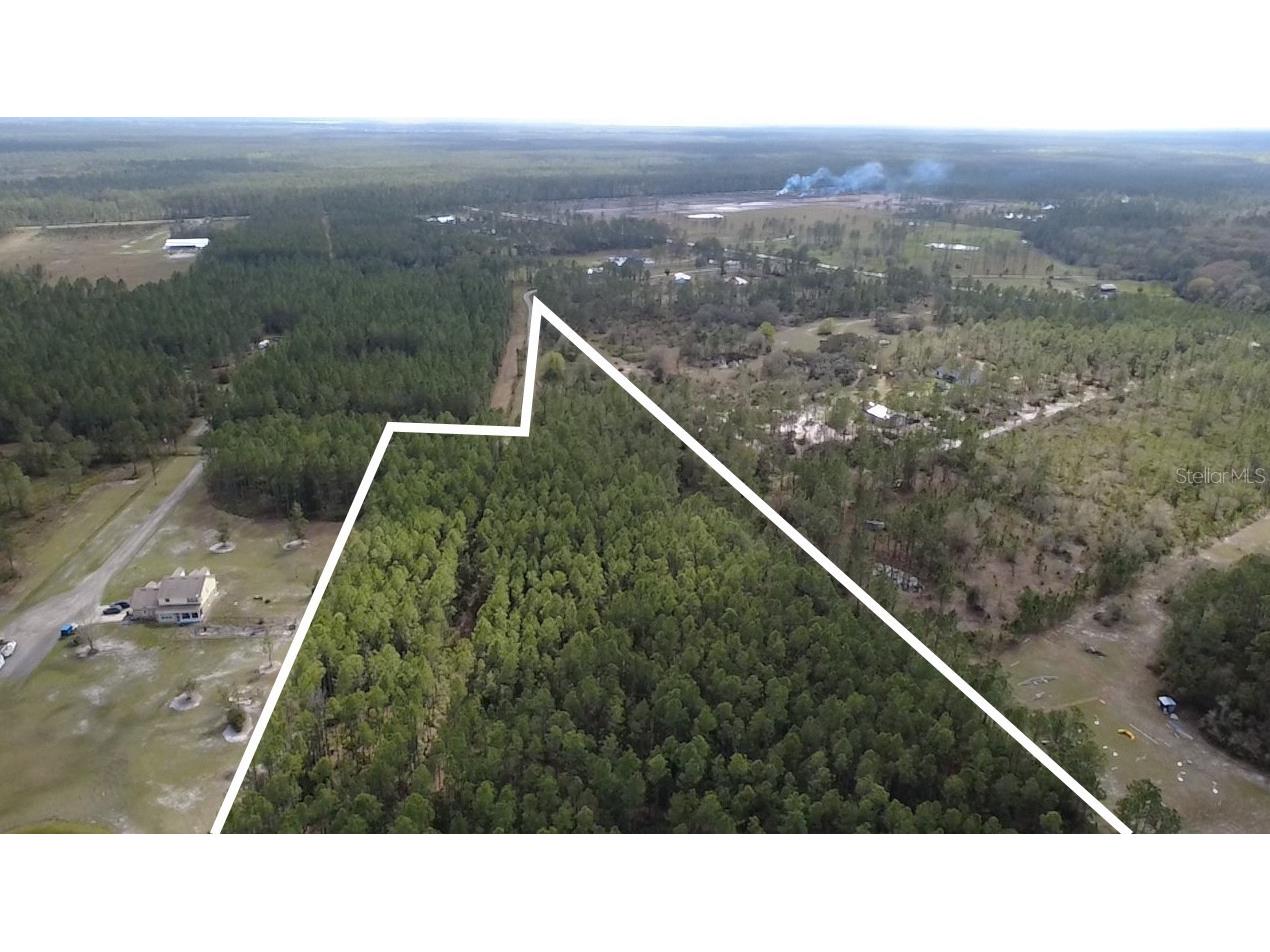 Wild Cur Road Pierson FL 32180 TB8486943 image4