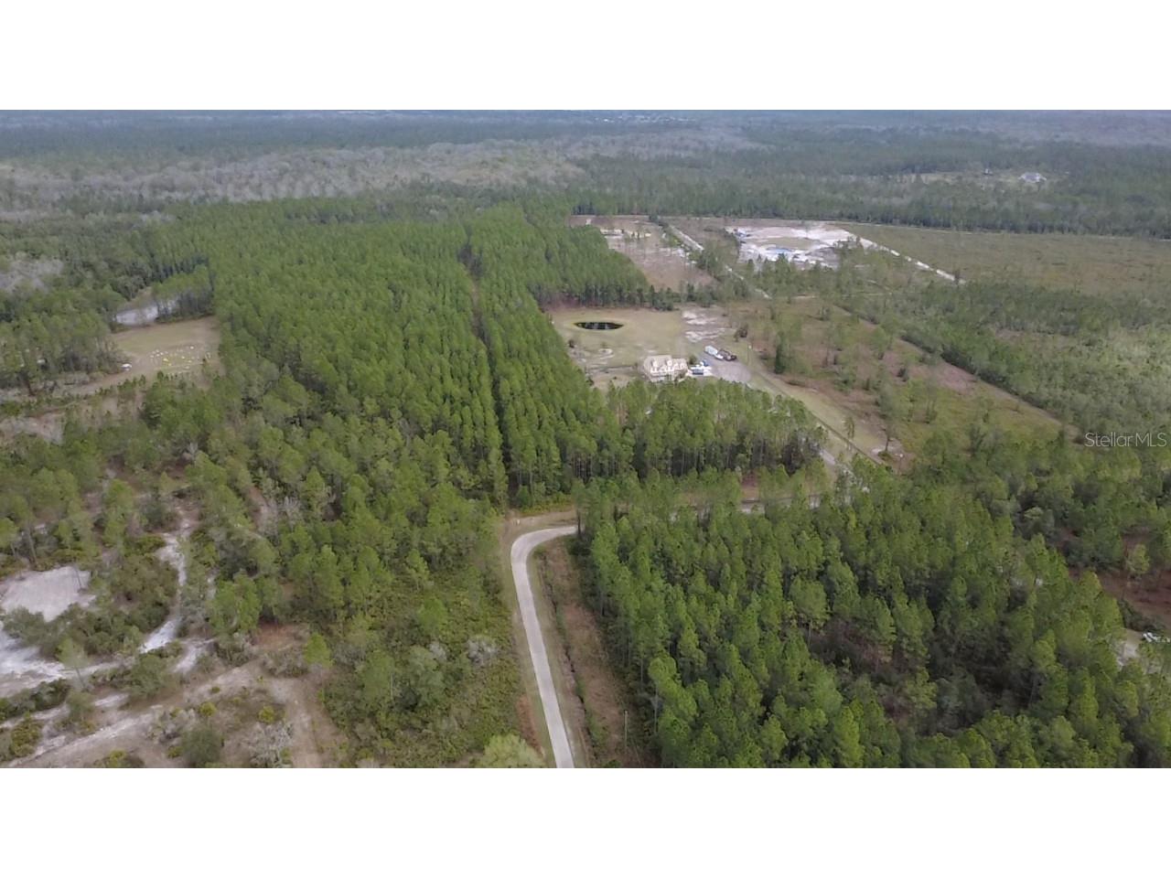 Wild Cur Road Pierson FL 32180 TB8486943 image5