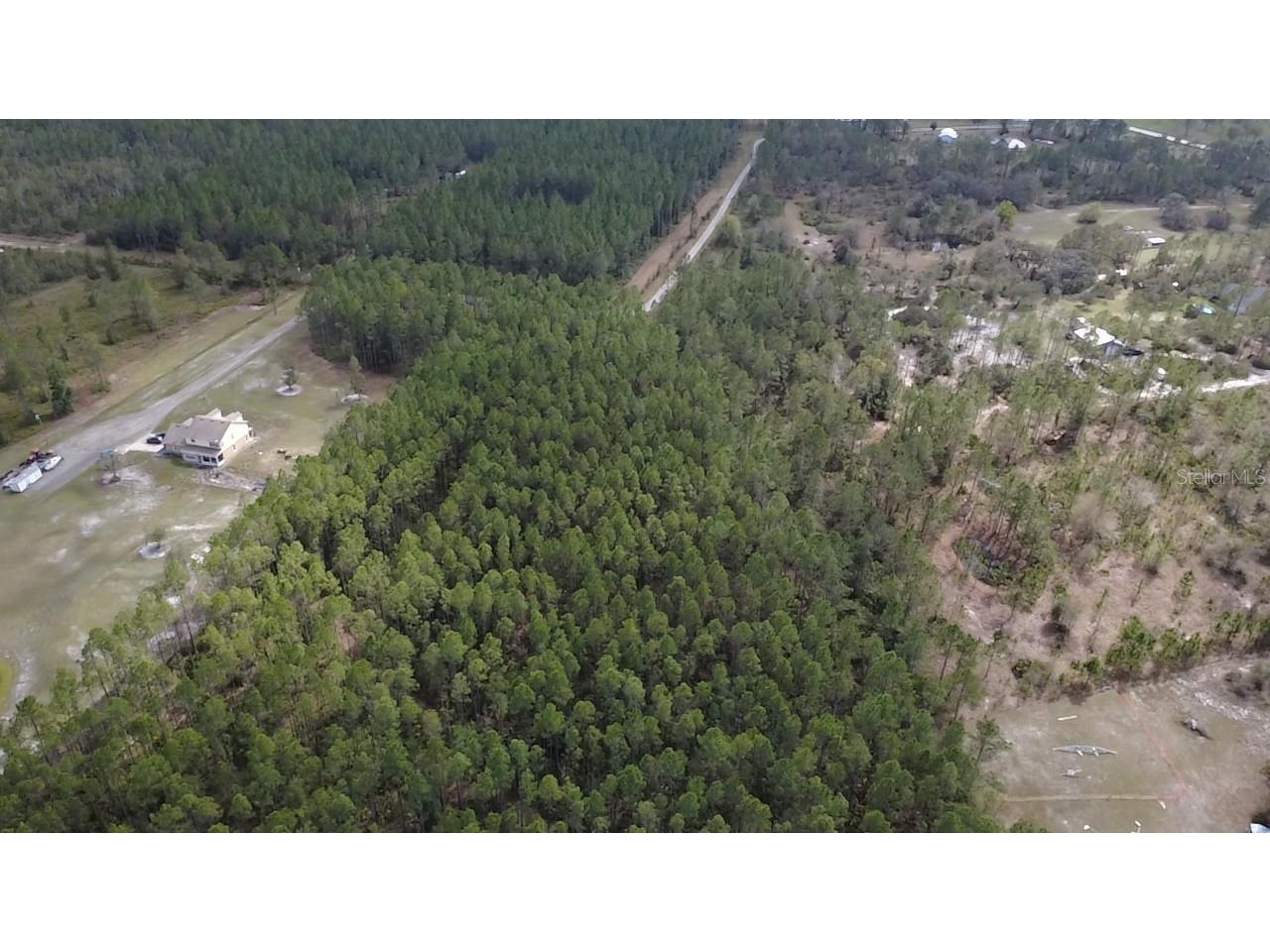 Wild Cur Road Pierson FL 32180 TB8486943 image6