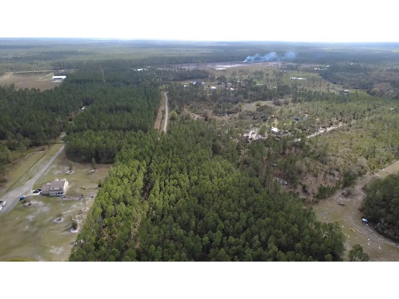 Wild Cur Road Pierson FL 32180 TB8486943 image7