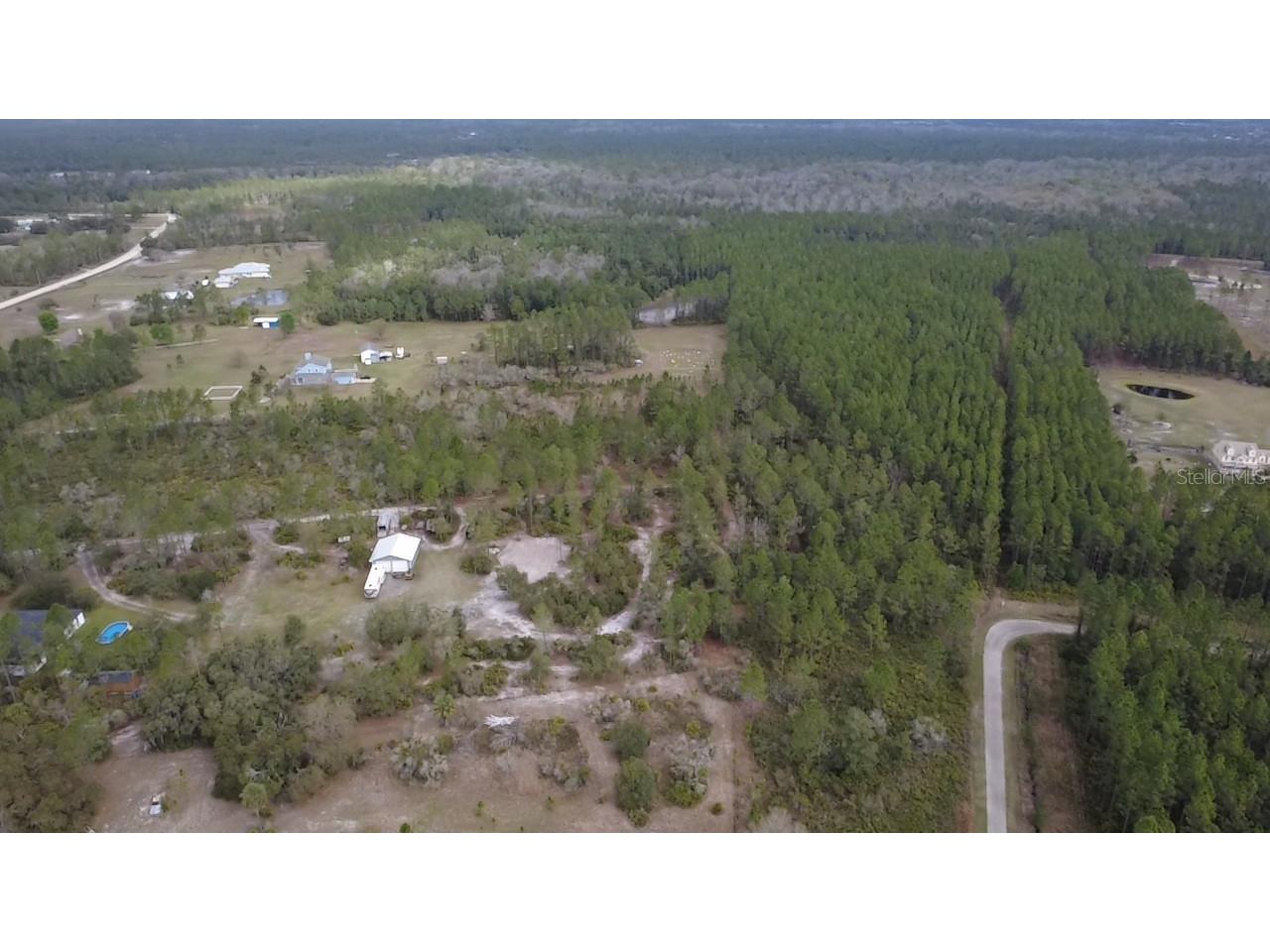 Wild Cur Road Pierson FL 32180 TB8486943 image8