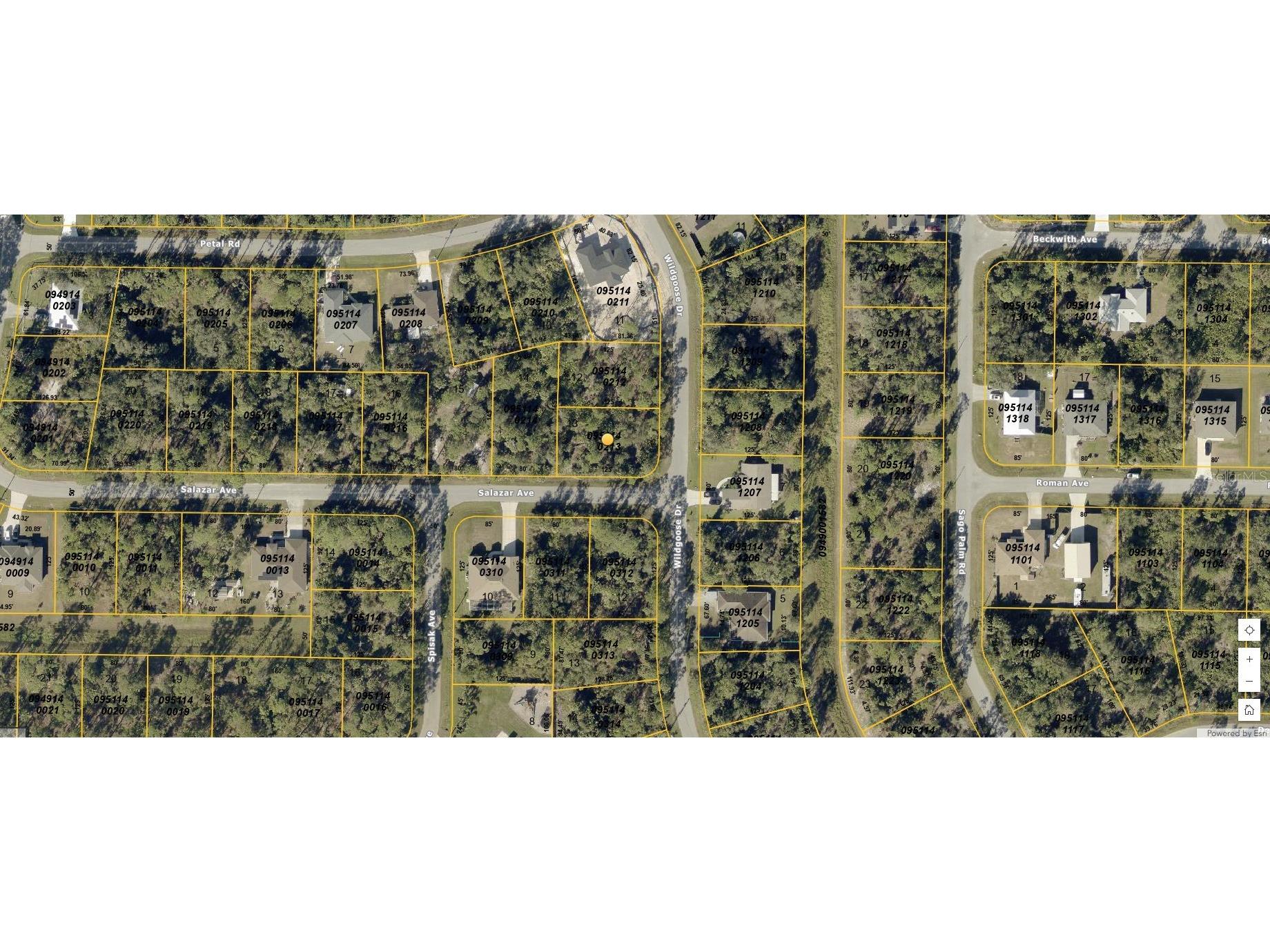 Wild Goose Drive North Port FL 34291 N6138173 image2