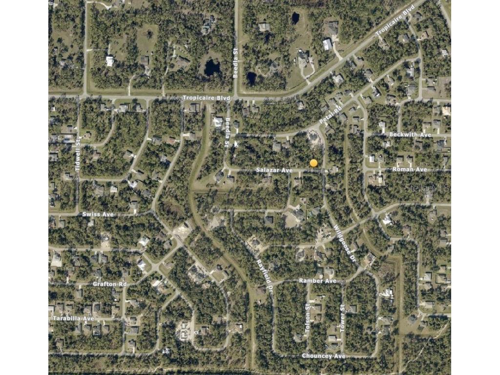 Wild Goose Drive North Port FL 34291 N6138173 image3