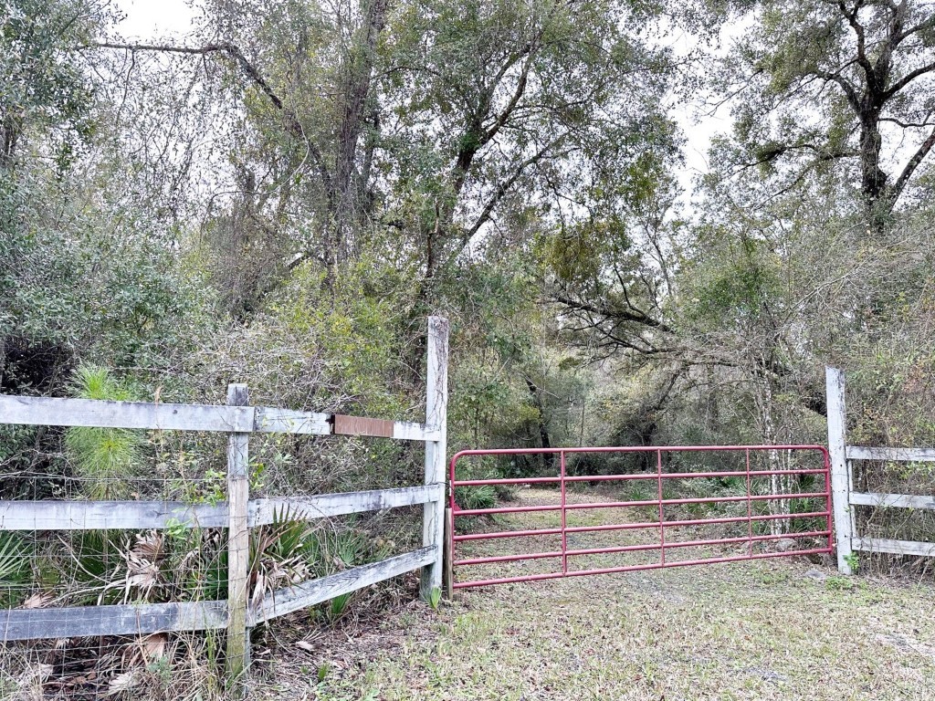 Wilford Street Webster FL 33597 O6170158 image1