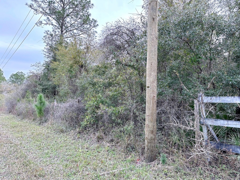 Wilford Street Webster FL 33597 O6170206 image1