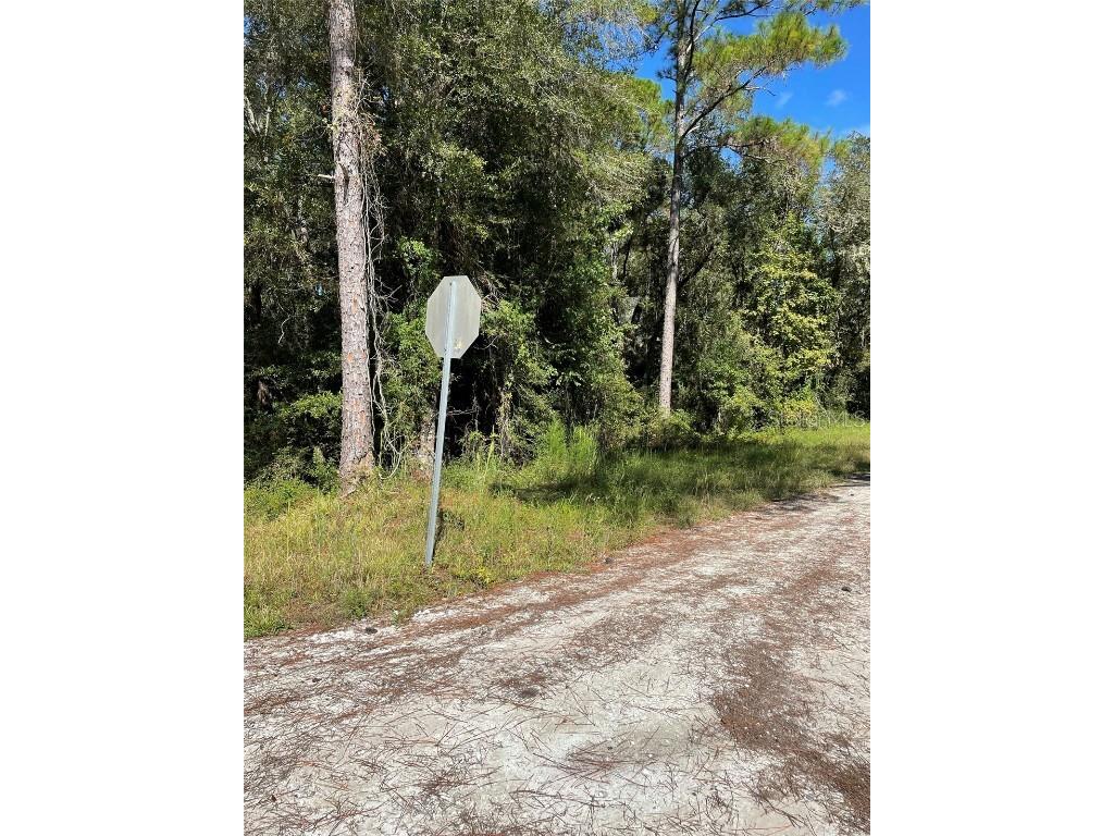 Wilford Webster FL 33597 T3443591 image1