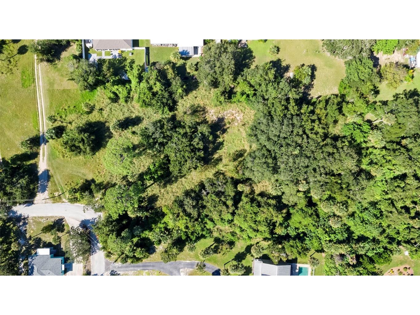 Wilkinson Avenue Edgewater FL 32132 NS1086242 image8