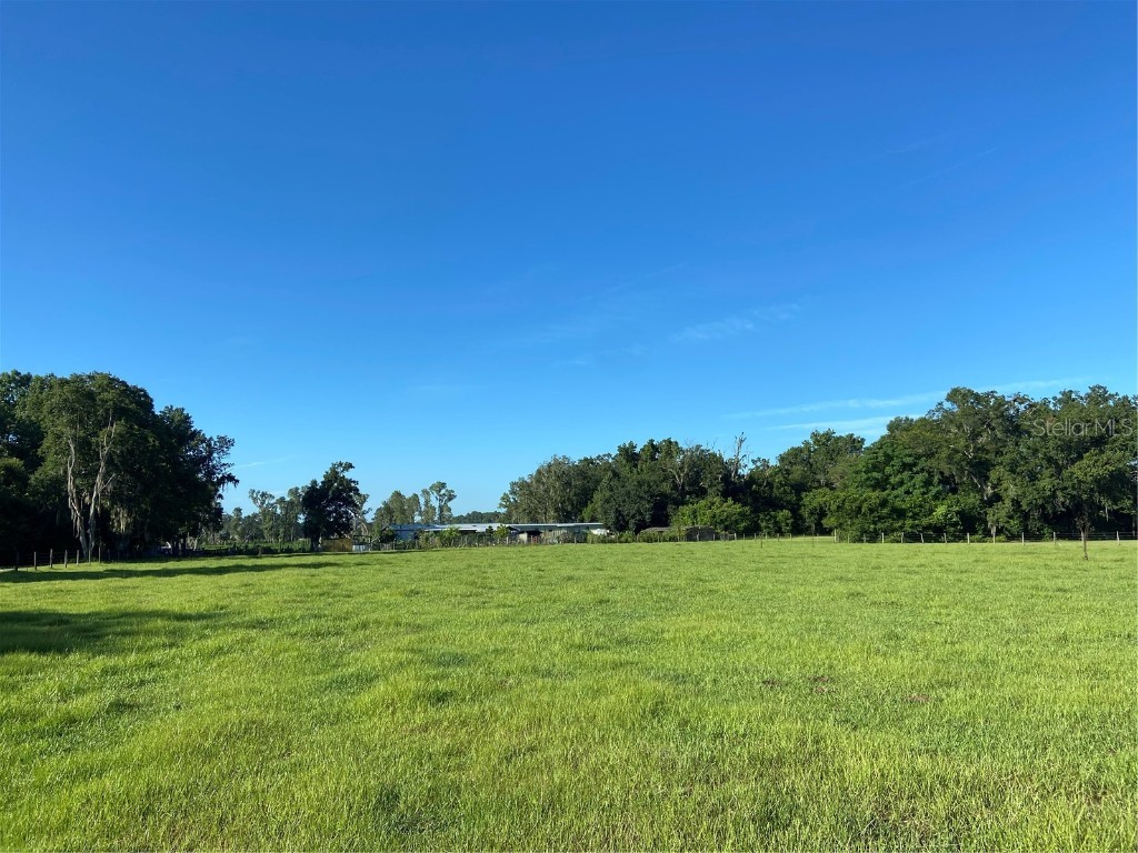 Williams Road Plant City FL 33565 T3387603 image1