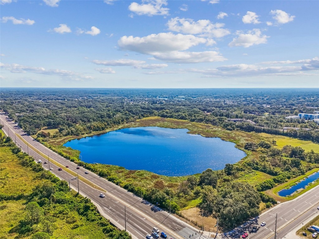 Williams Road Tampa FL 33610 TB8446110 image23