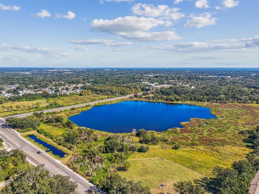 Williams Road Tampa FL 33610 TB8446110 image26