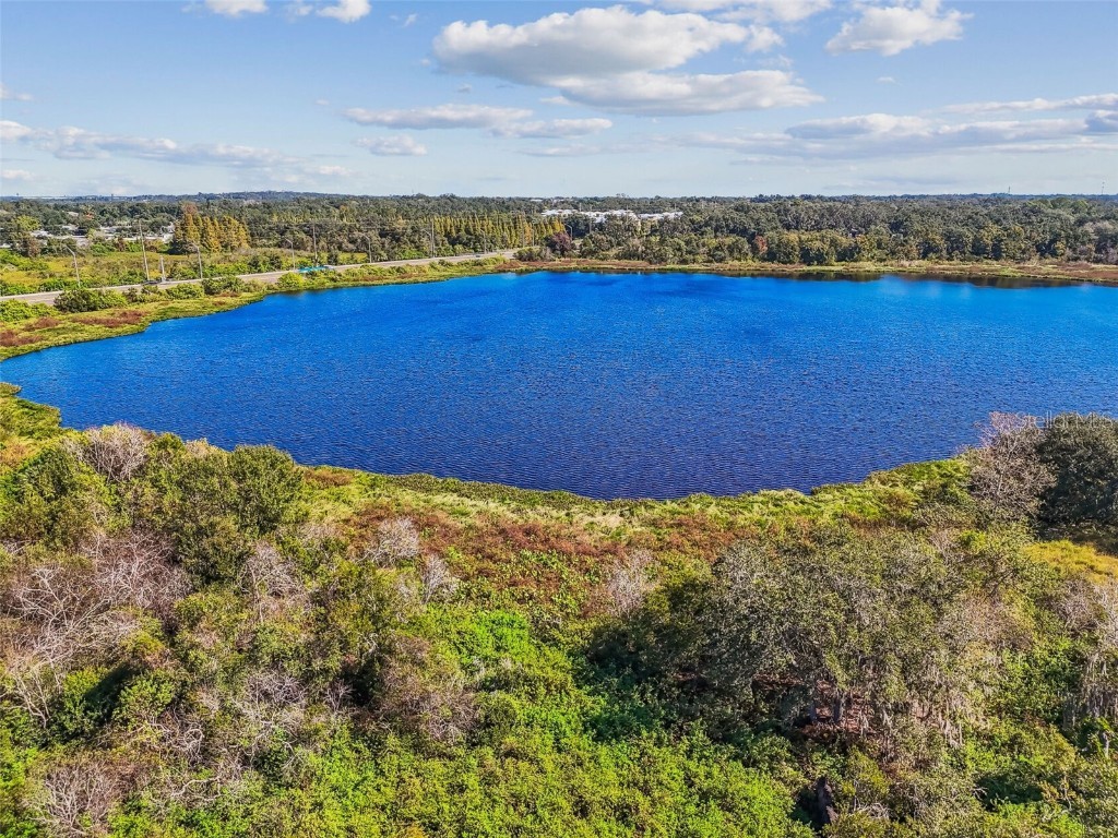 Williams Road Tampa FL 33610 TB8446110 image31