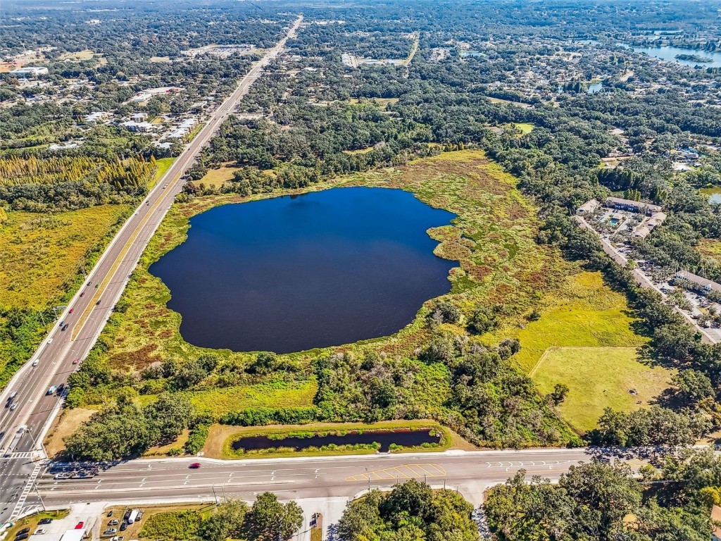 Williams Road Tampa FL 33610 TB8446110 image36