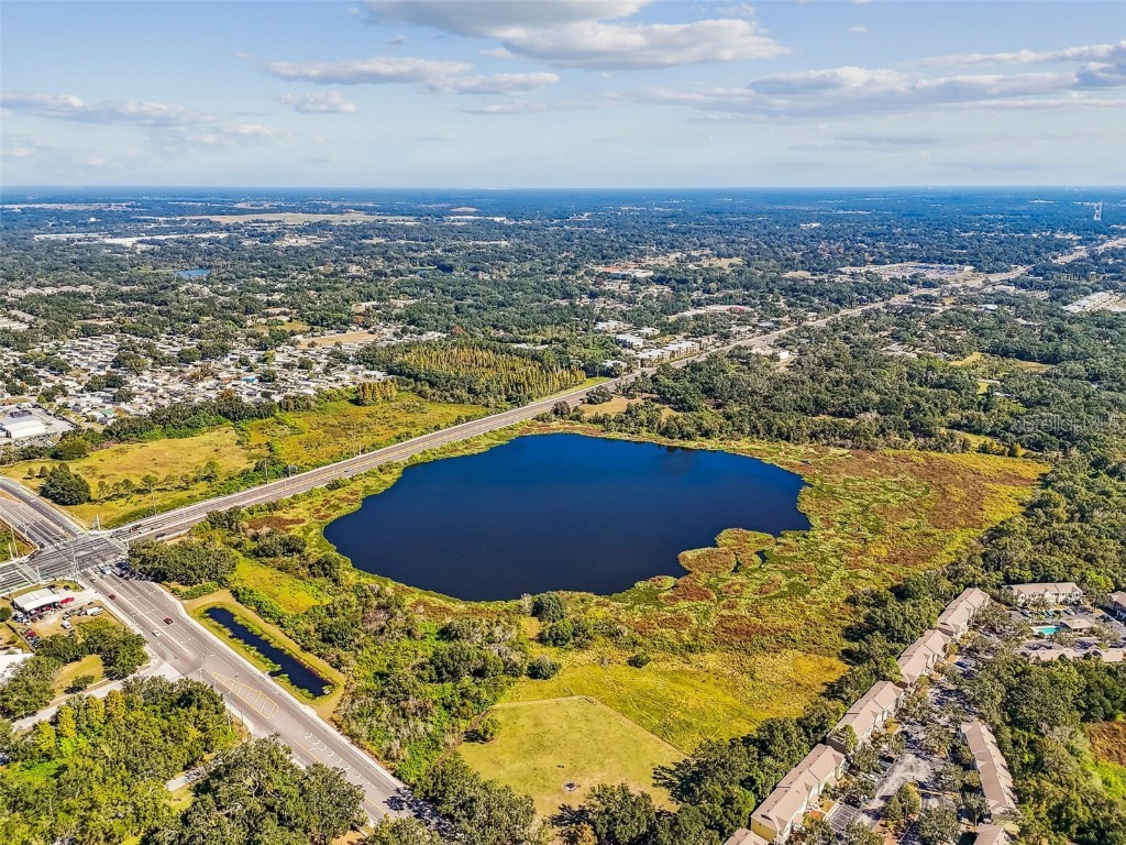 Williams Road Tampa FL 33610 TB8446110 image37