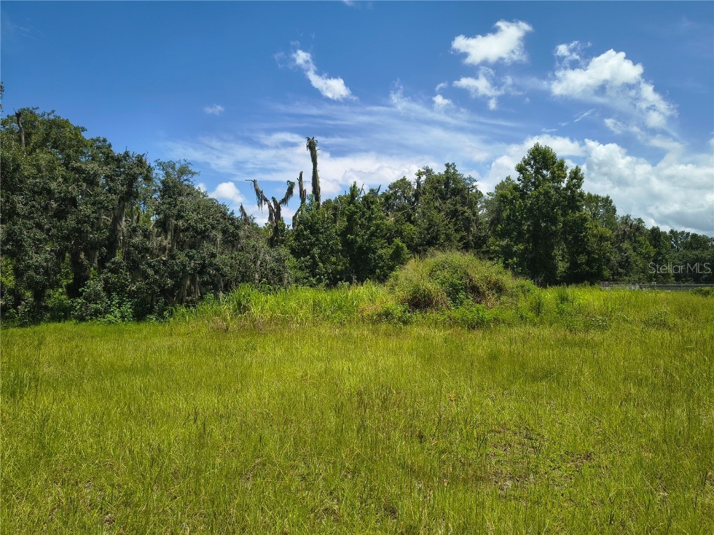 Willie White Lane Plant City FL 33567 TB8408638 image10