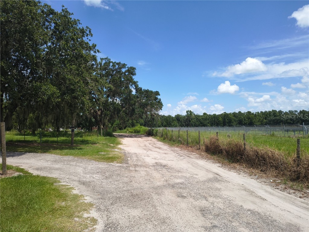 Willie White Lane Plant City FL 33567 TB8408638 image14