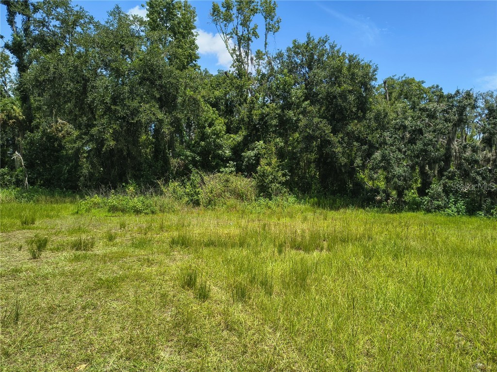 Willie White Lane Plant City FL 33567 TB8408638 image2