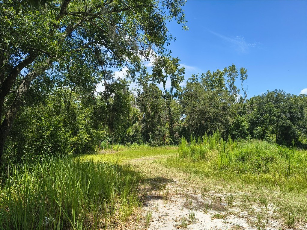 Willie White Lane Plant City FL 33567 TB8408638 image3