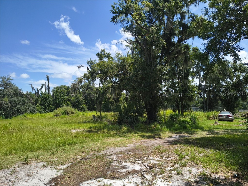 Willie White Lane Plant City FL 33567 TB8408638 image6