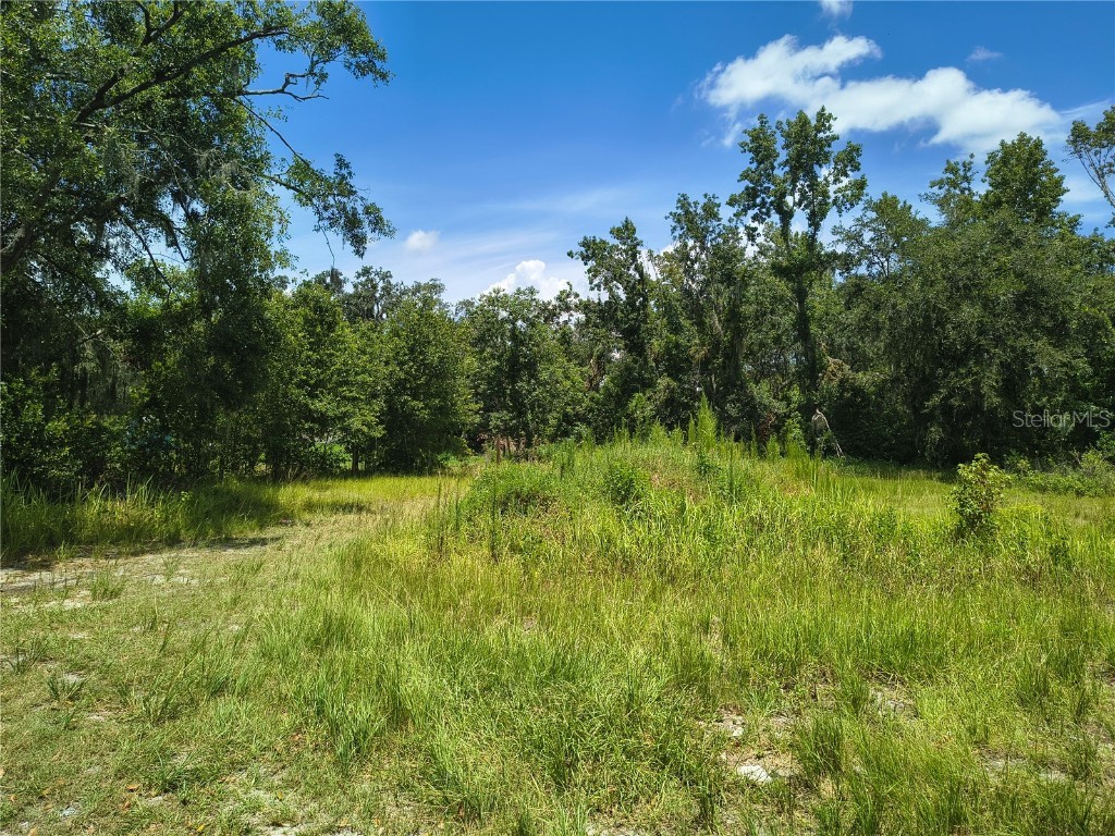 Willie White Lane Plant City FL 33567 TB8408638 image7