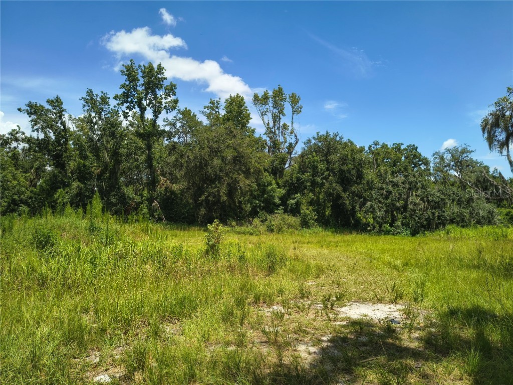 Willie White Lane Plant City FL 33567 TB8408638 image8