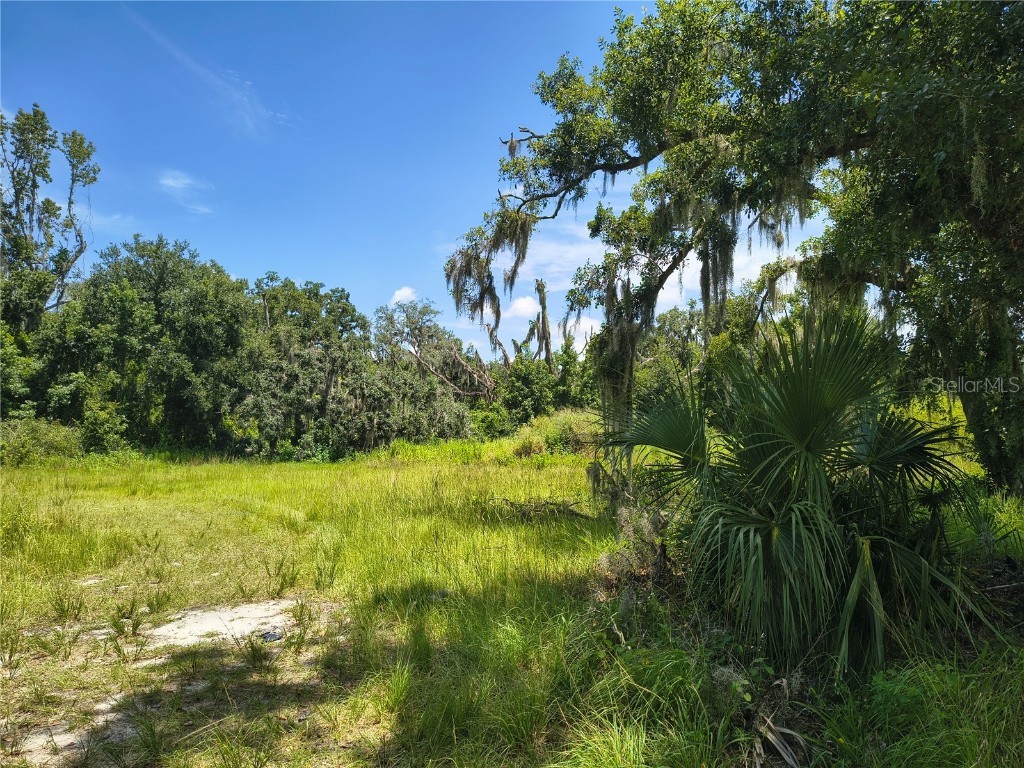 Willie White Lane Plant City FL 33567 TB8408638 image9