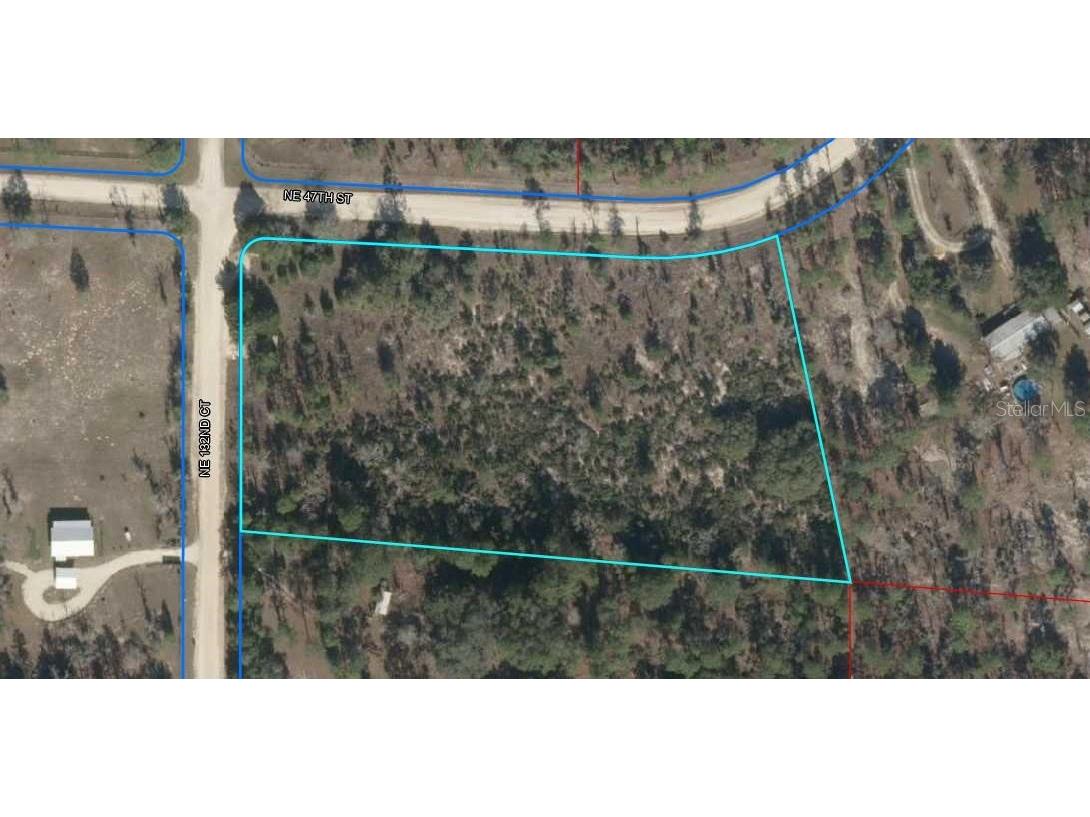  Williston FL 32696 OM662061 image1