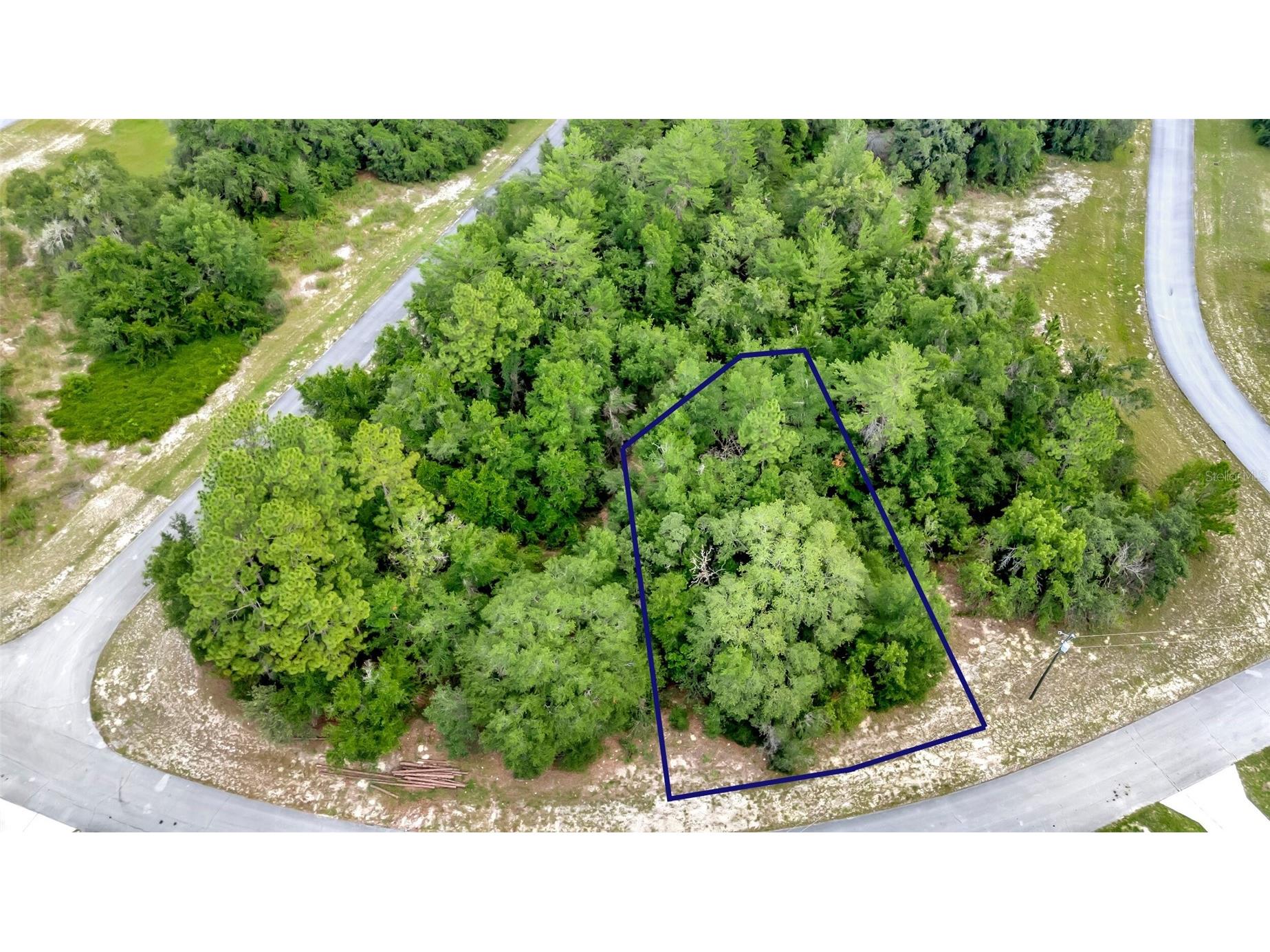 Willmington Drive Ocala FL 34473 G5114294 image5