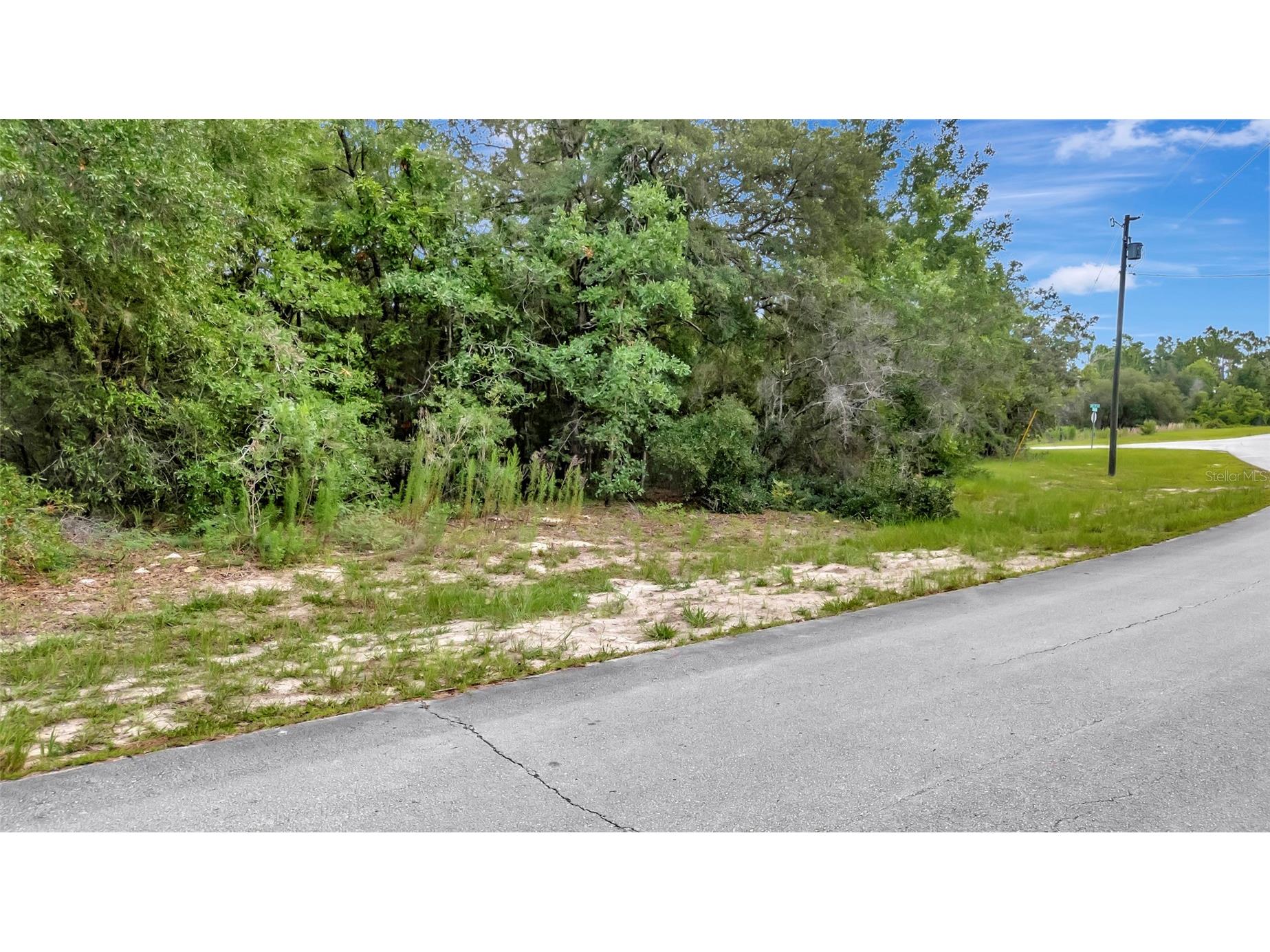 Willmington Drive Ocala FL 34473 G5114294 image9