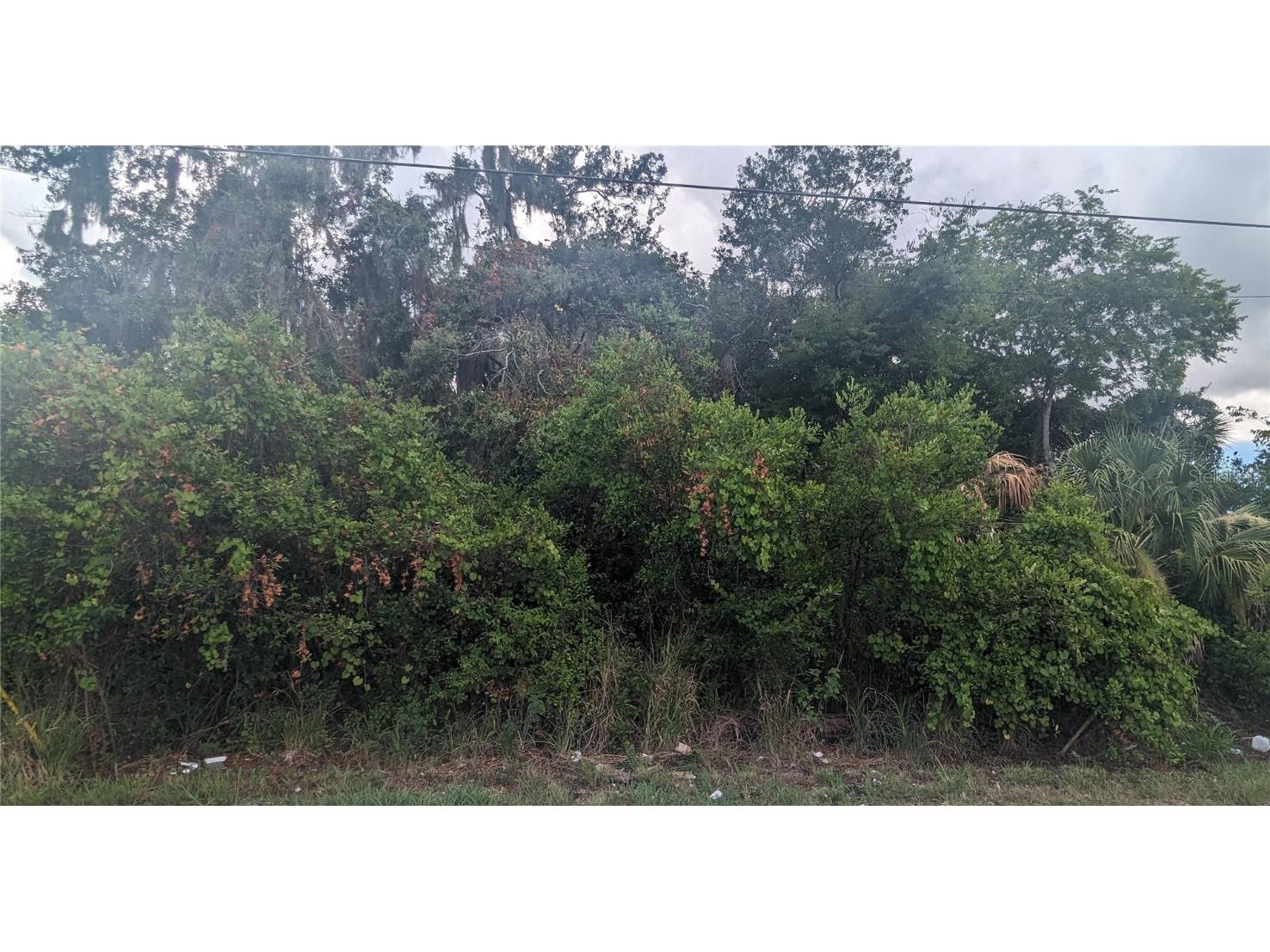 Willow Oak Road Mulberry FL 33860 L4945443 image1