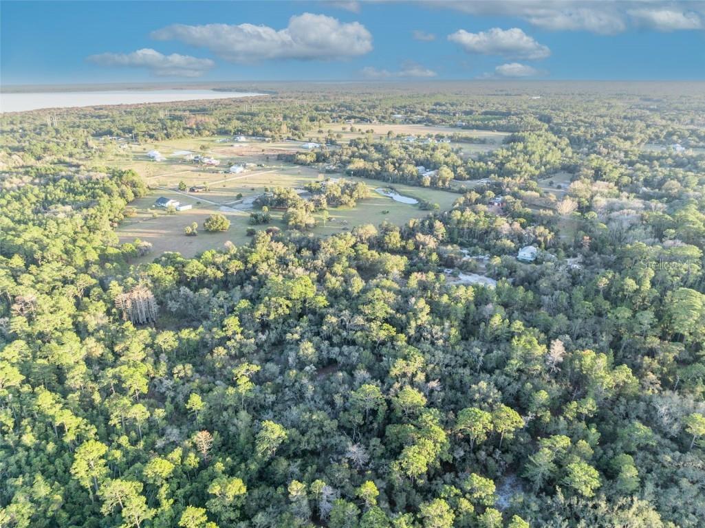 Willow Pond Lane Geneva FL 32732 O6371584 image10