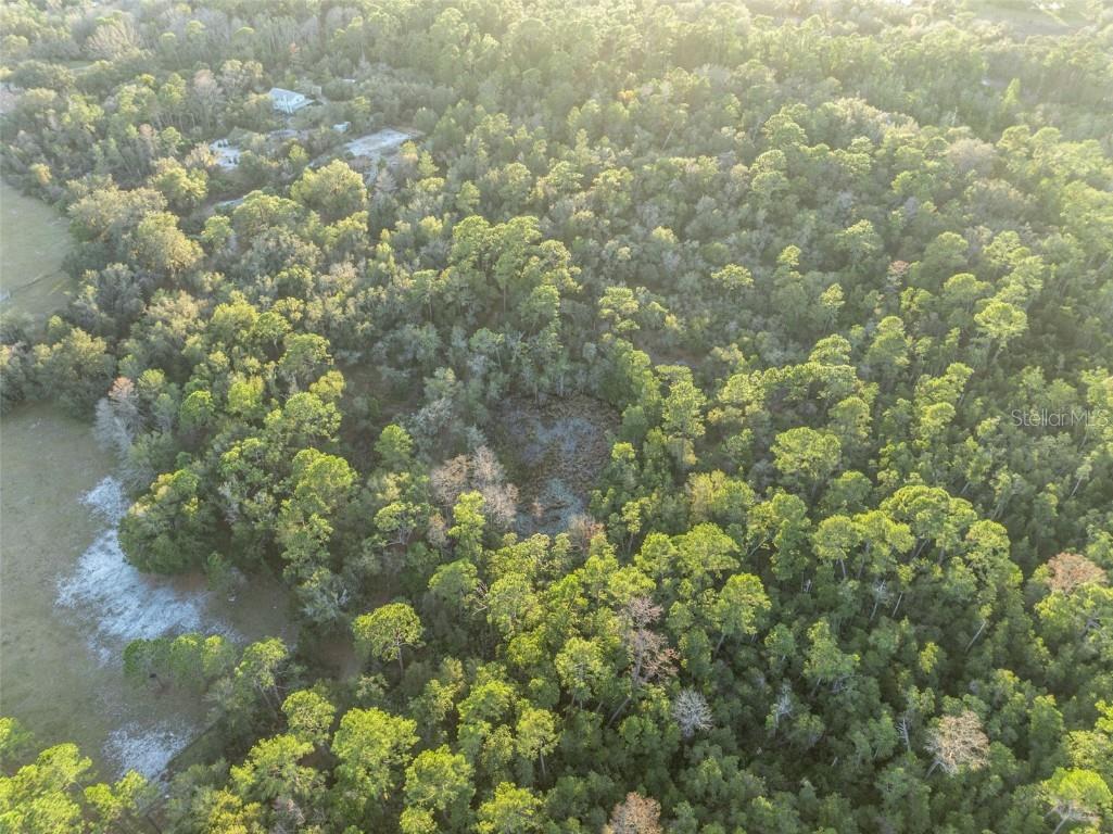 Willow Pond Lane Geneva FL 32732 O6371584 image11