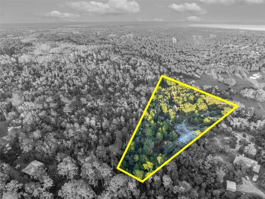 Willow Pond Lane Geneva FL 32732 O6371584 image2